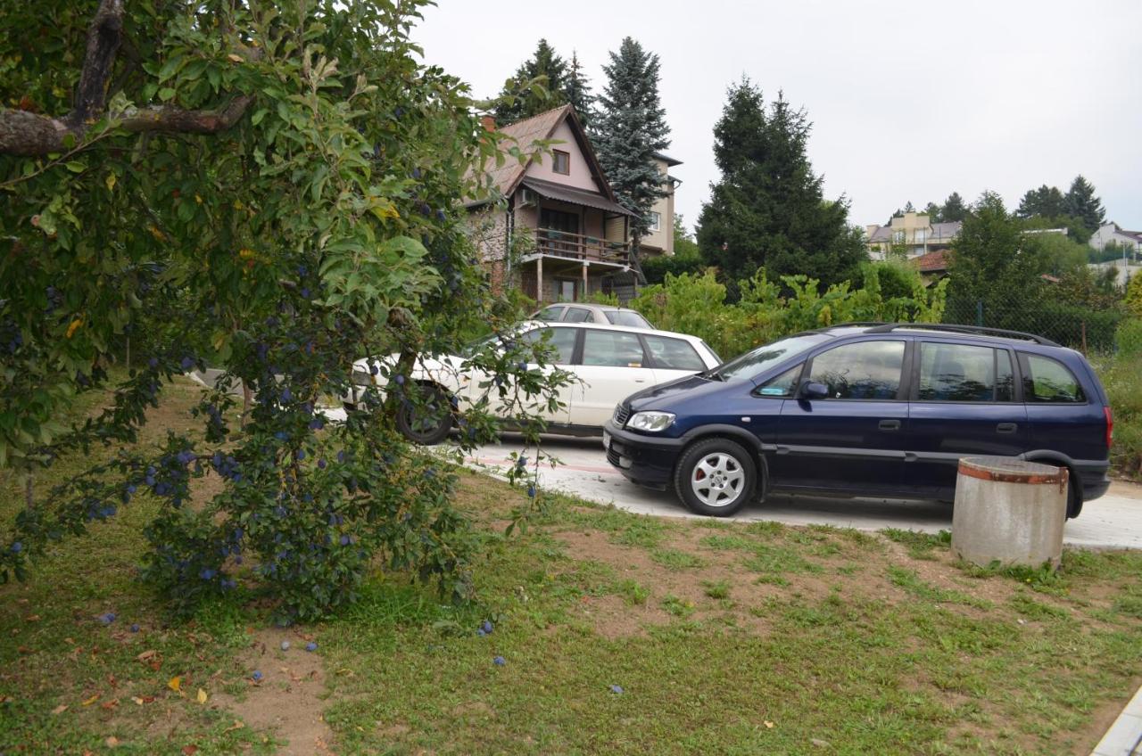 Apartment Ana Vrdnik